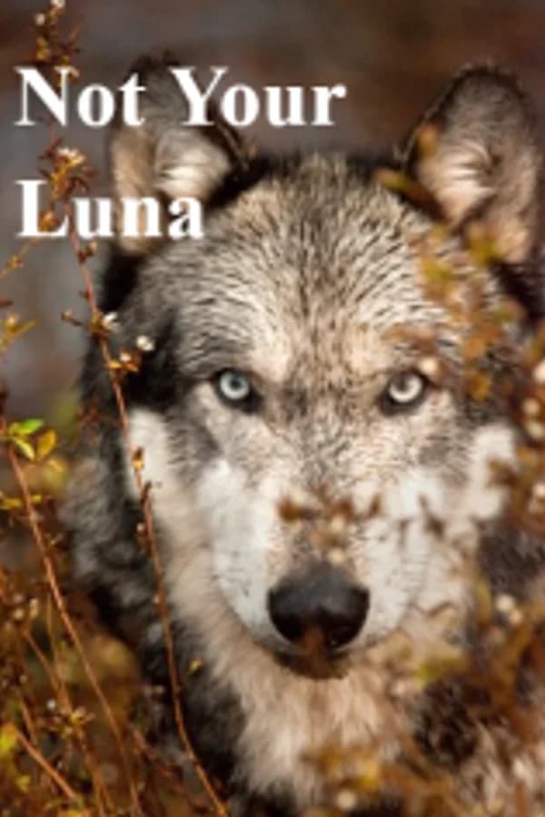 Not Your Luna