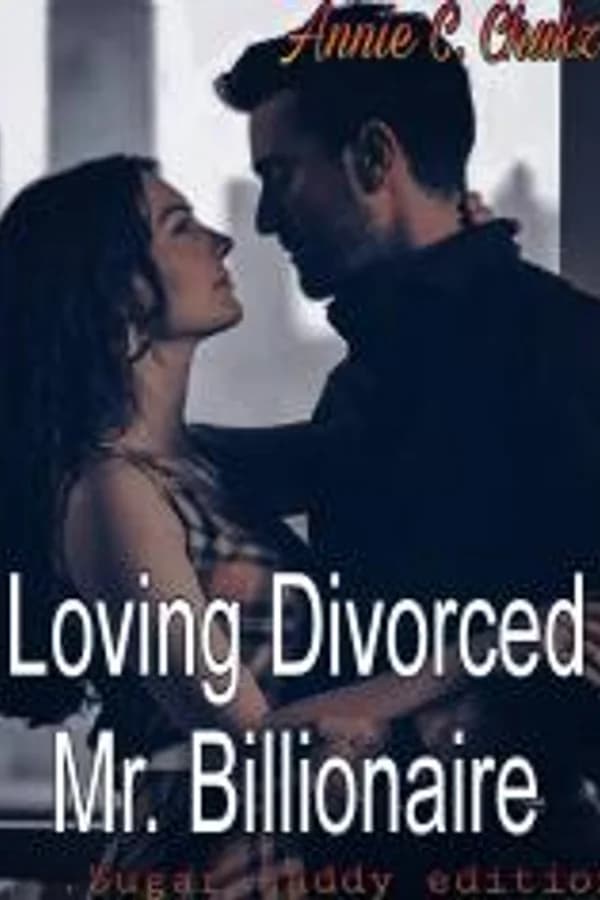 Loving Divorced Mr. Billionaire