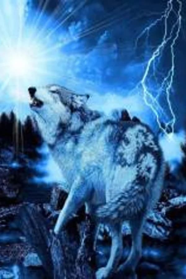 Storm pack 1