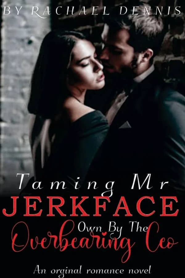 TAMING MR JERKFACE: Own By An Overbearing CEO