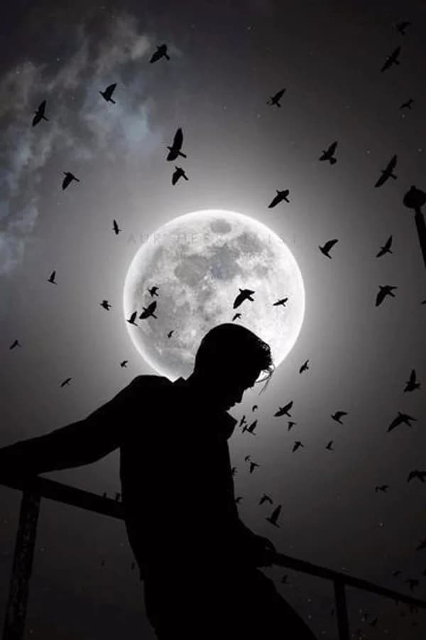 Dark Moon