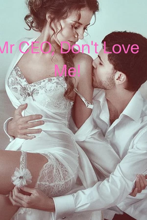Mr CEO, Don't Love Me