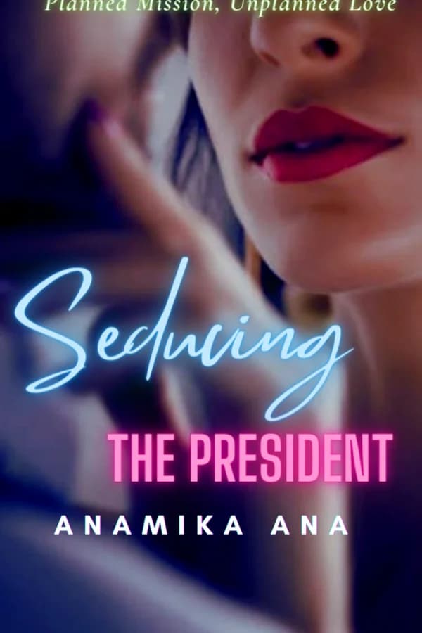 Seducing The President