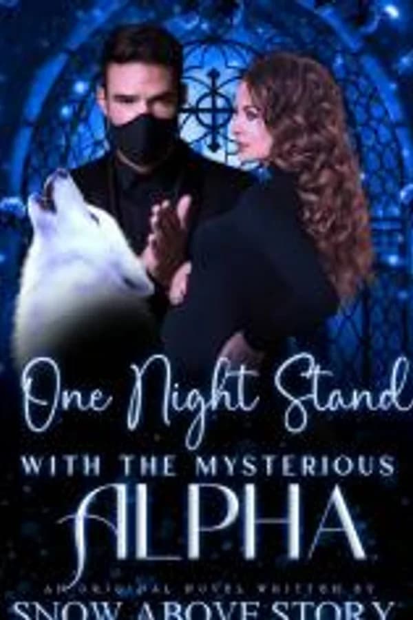 One Night Stand With The Mysterious Alpha  #book 1