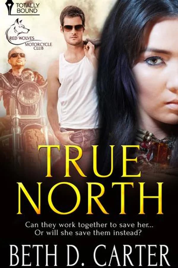 True North