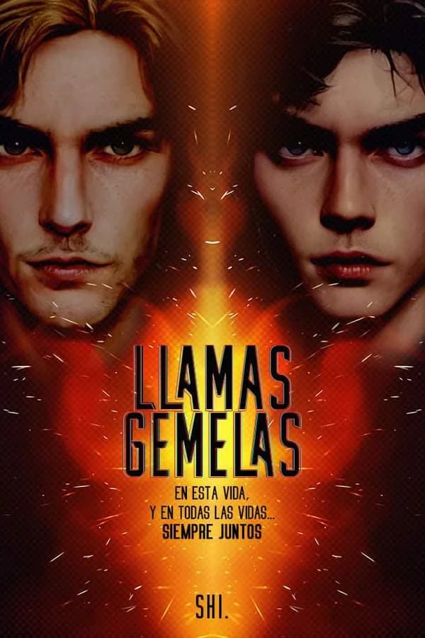 Llamas gemelas