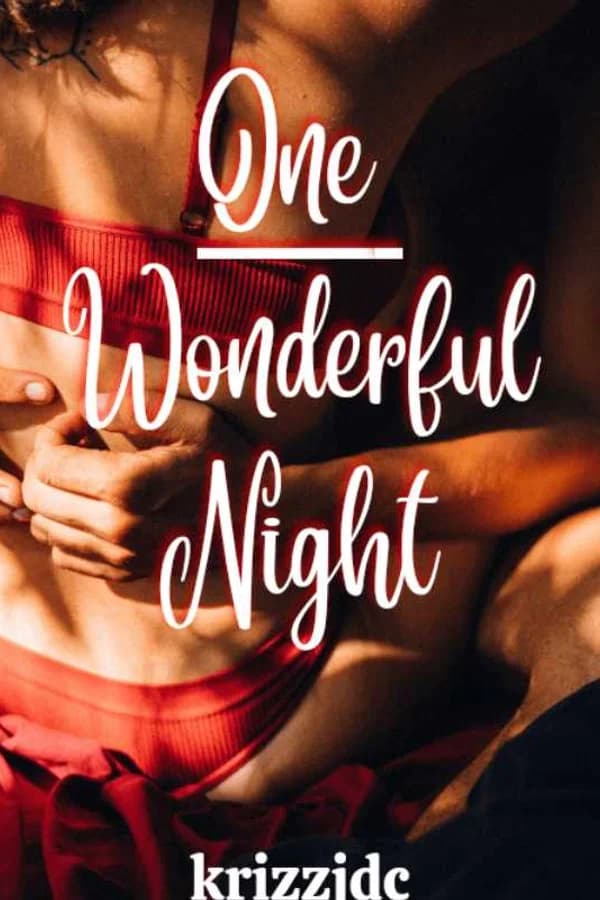 ONE WONDERFUL NIGHT