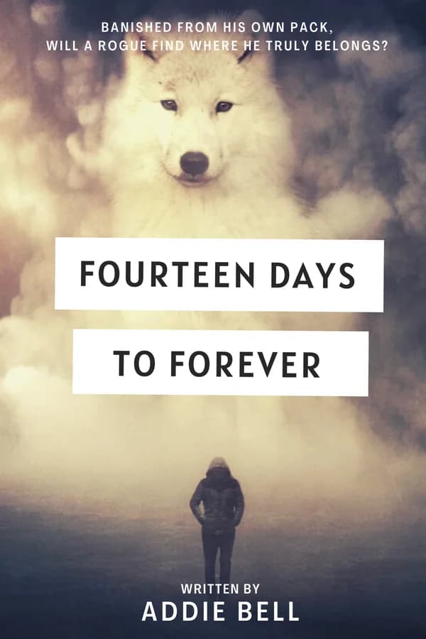 Fourteen Days To Forever