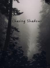 Chasing Shadows