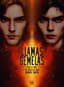 Llamas gemelas
