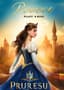Pursue For A Princess