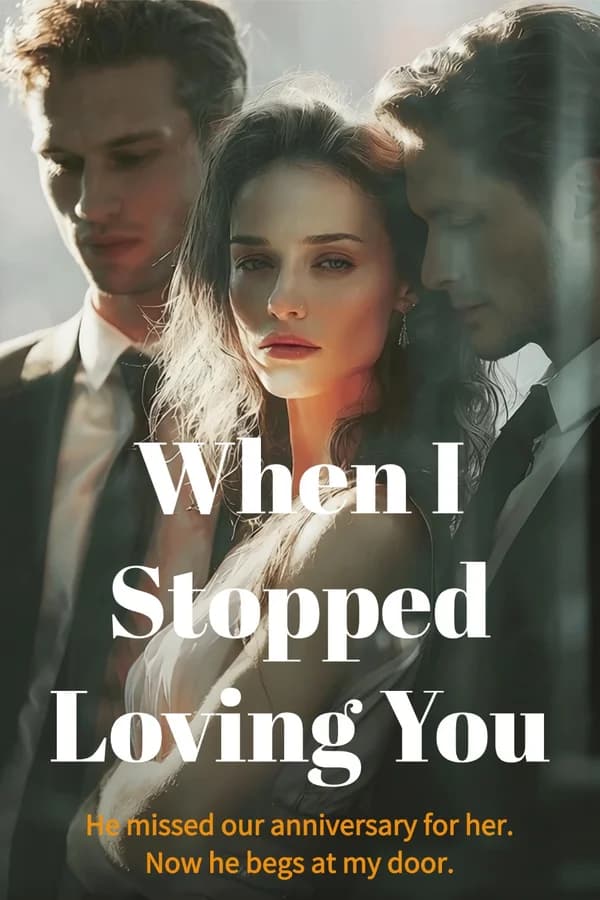 When I Stopped Loving You